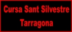 logosansitgn.jpg